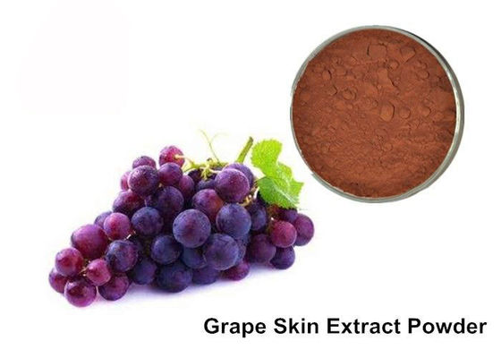 중국 25% 안토시아닌 순수한 Grapeseed/포도 피부 추출물 분말 협력 업체