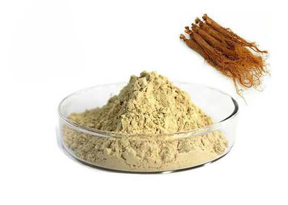 중국 10% Ginsenosides 빨간 인삼 추출물 협력 업체