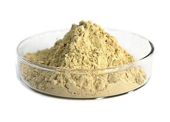 10% Ginsenosides 빨간 인삼 추출물 협력 업체