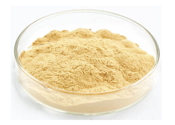 유기 시베리아 뿌리 30% 80% Ginsenosides 순수한 인삼 추출물 협력 업체