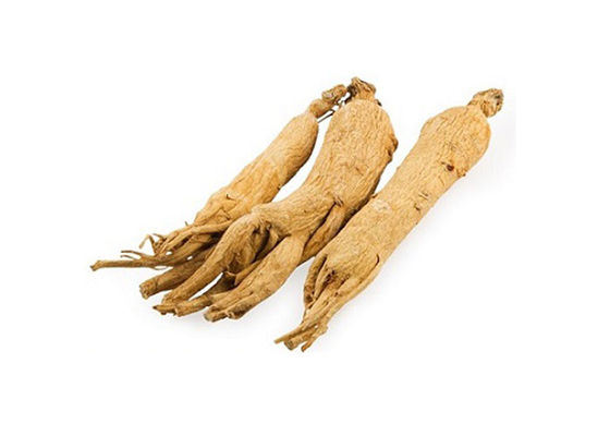 면역성이 있는 뿌리 인삼 추출물 분말을 개량하는 건강 관리 협력 업체