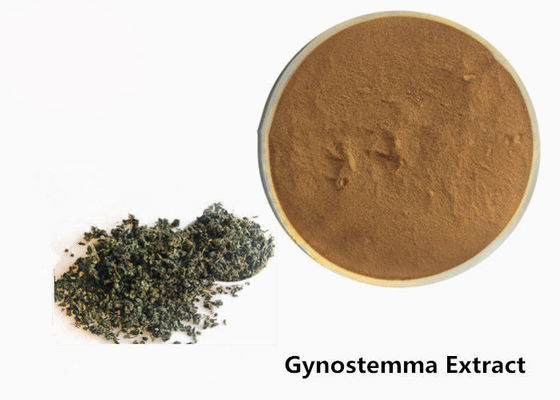 음식 급료 반대로 종양 초본 Gynostemma 추출물 분말 협력 업체