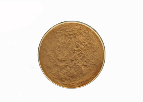 Hericum Erinaceus 10% 다당류 버섯 추출물 분말 협력 업체