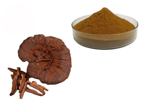 50% 순수성 Ganoderma Lucidum Reishi 버섯 추출물 분말 협력 업체