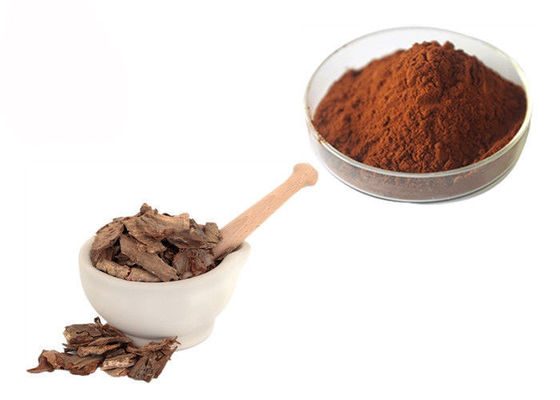Proanthocyanidins 95% 소나무 수피 추출물 분말 협력 업체