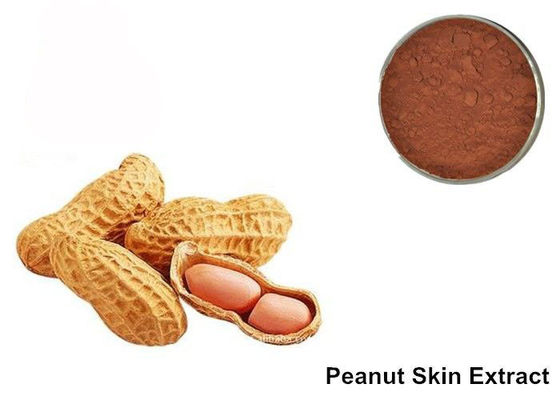 95% Proanthocyanidins 땅콩 피부 안토시아닌 추출물 분말 협력 업체