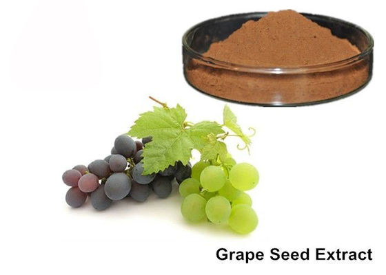 25% 안토시아닌 순수한 Grapeseed/포도 피부 추출물 분말 협력 업체